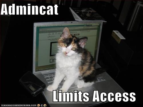 funny-pictures-cat-limits-your-computer-access.jpg